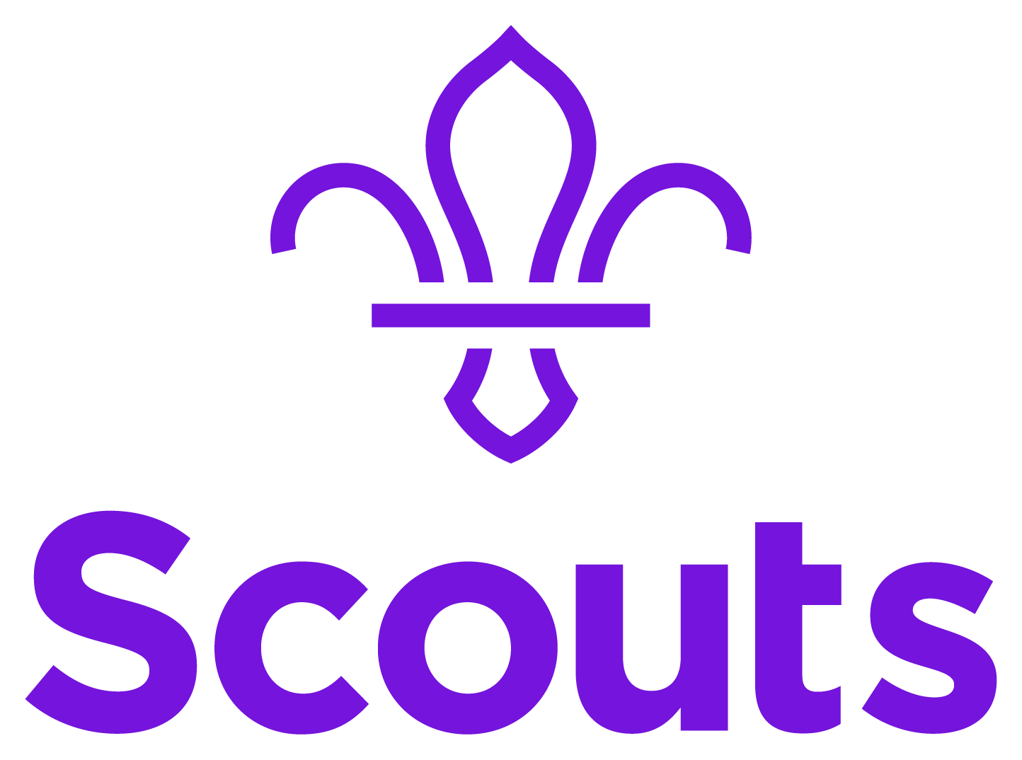 The Scouts